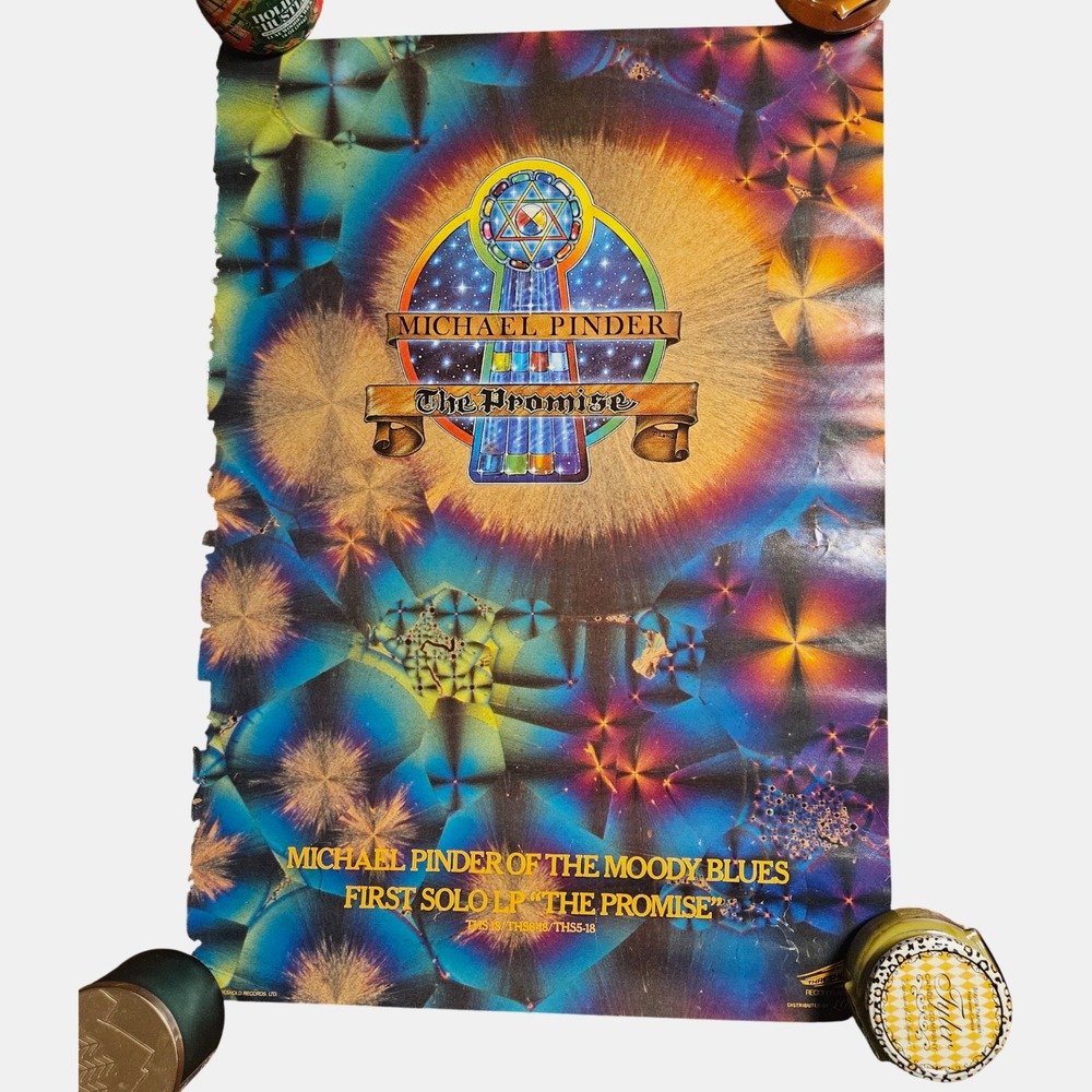 Michael Pinder The Promise 21x30 Promo Poster Vintage 1976 Threshold Moody Blues